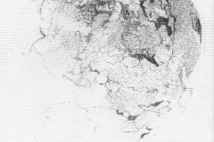 Fiona Pearson	<i>Lichen Landscape</i>	Graphite	£75