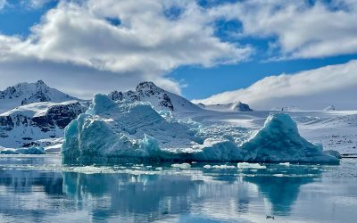 Svalbard: Icebergs and Animals